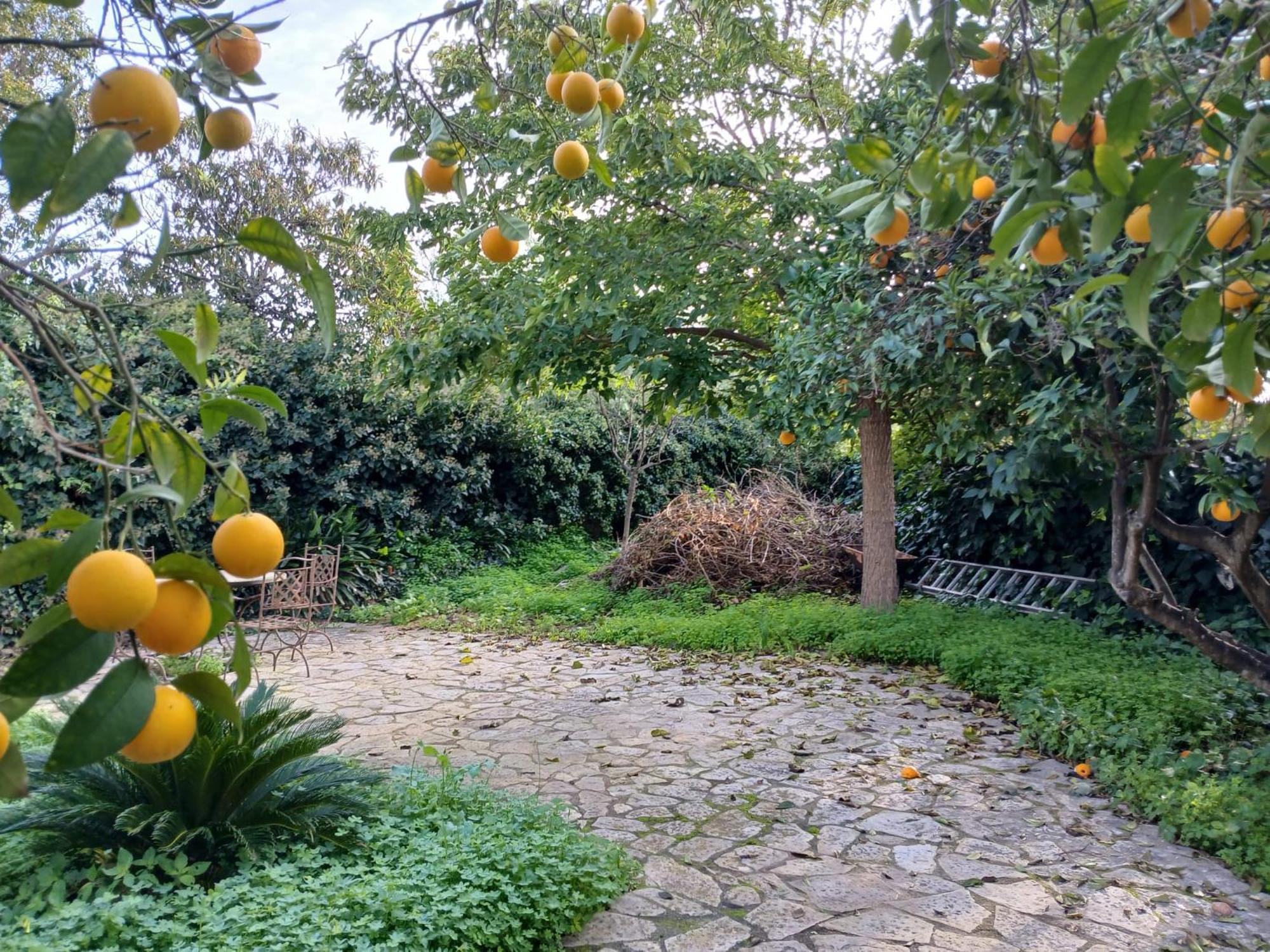Vives Holiday home Binissalem